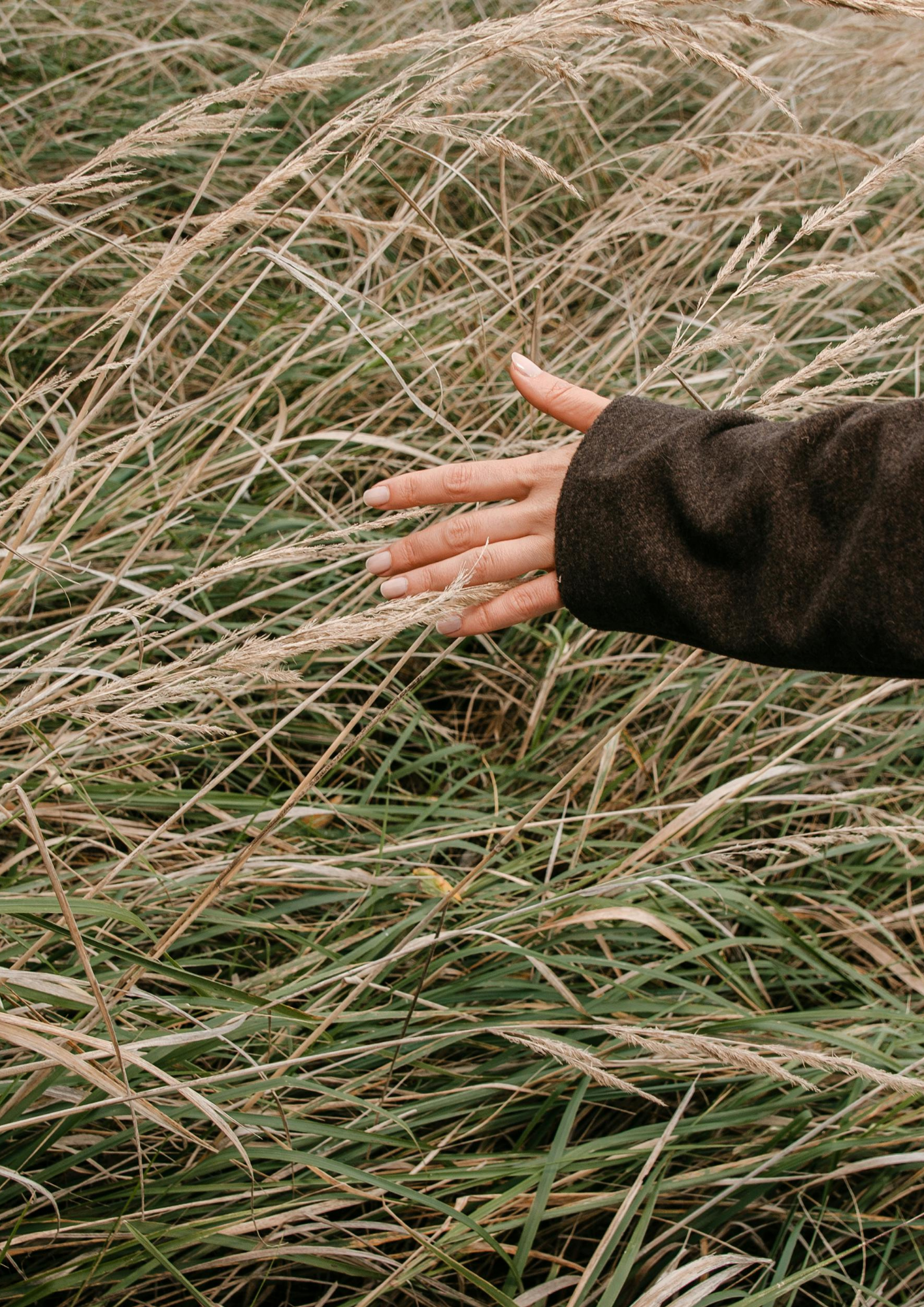 Depression To Aliveness