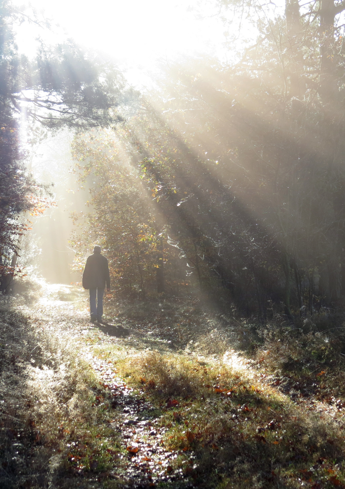 Loneliness To Inner Union